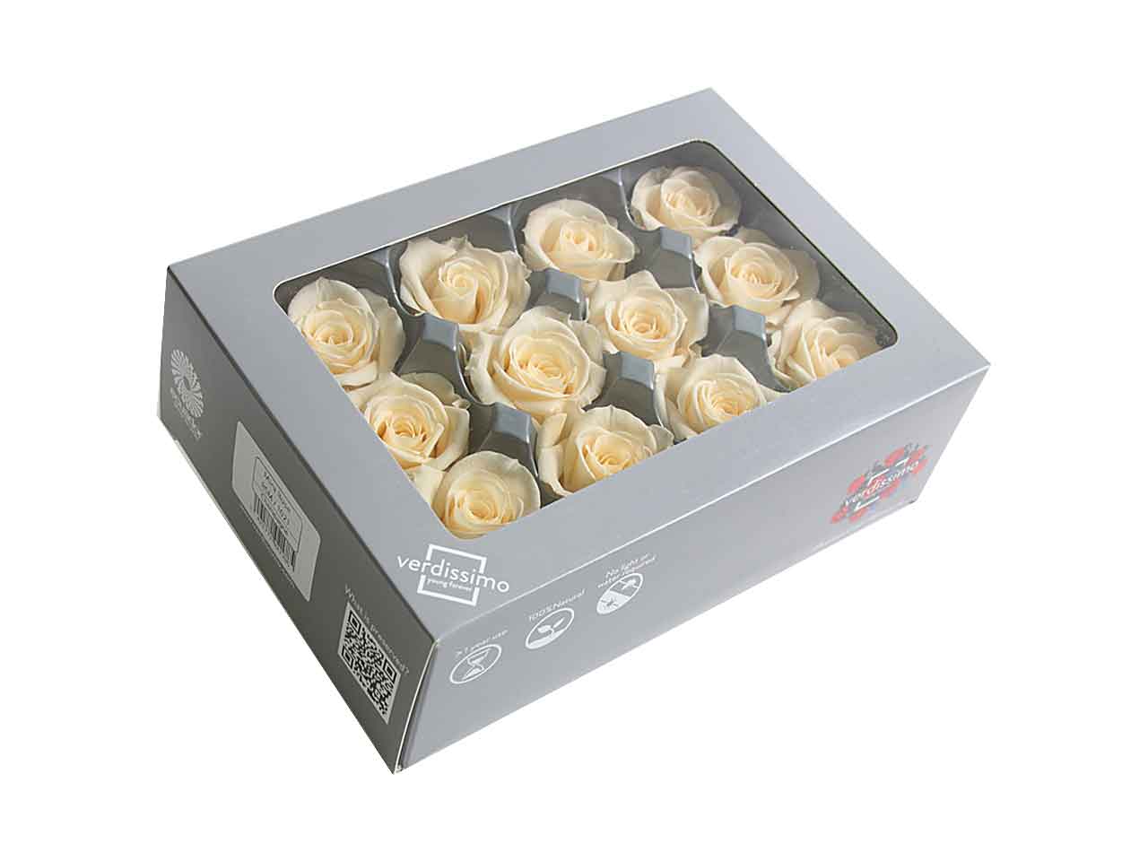 ROSA STABILIZZATA CHAMP. 12pz RSM/1020