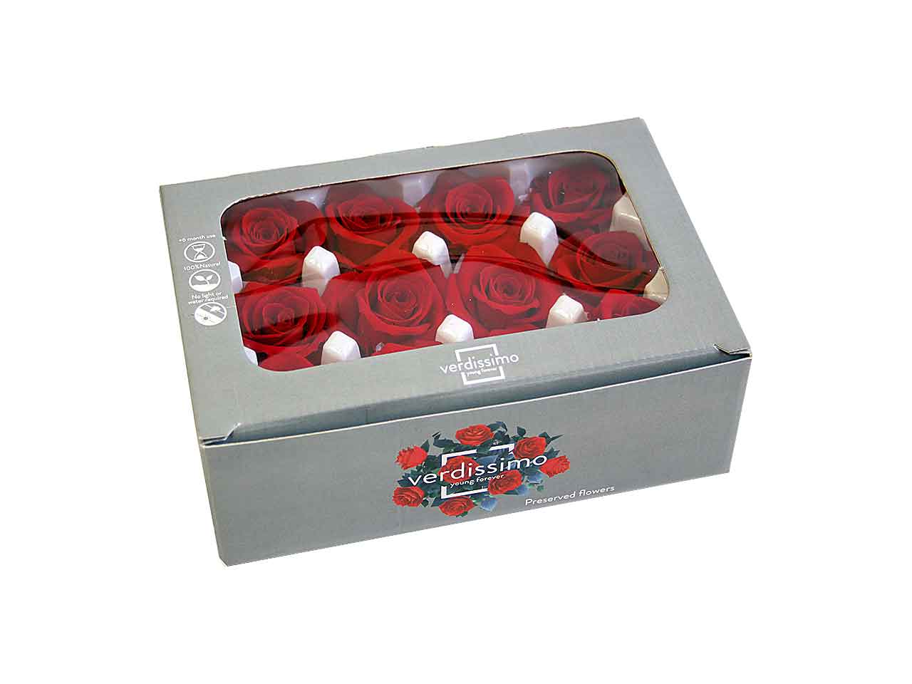 ROSA STABILIZZATA ROSSA 12pz RSM/1200