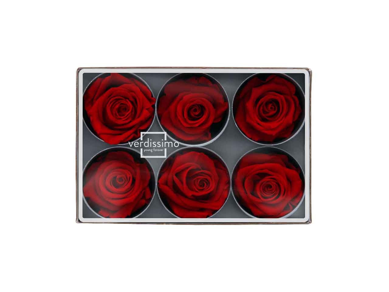 ROSA STABILIZZATA ROSSA 6pz RST/2200
