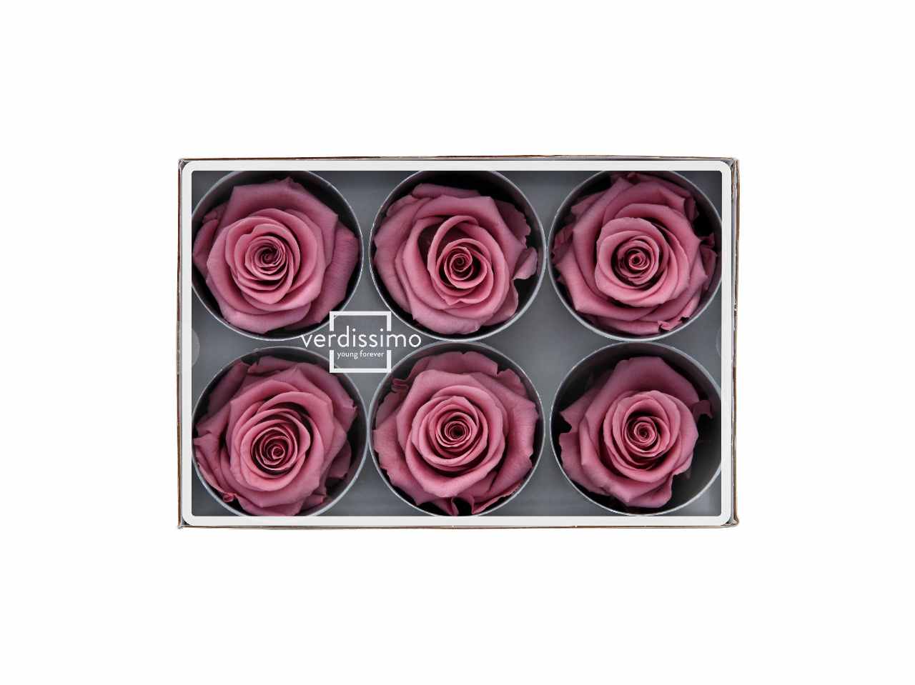 ROSA STABILIZZATA CHERRY 6pz RST/2480