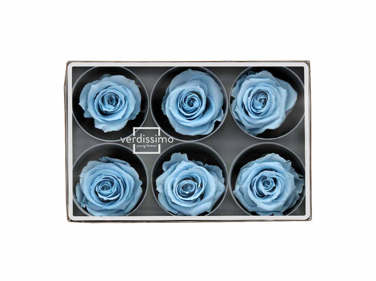 ROSA STABILIZZATA BLU  6pz RST/2640