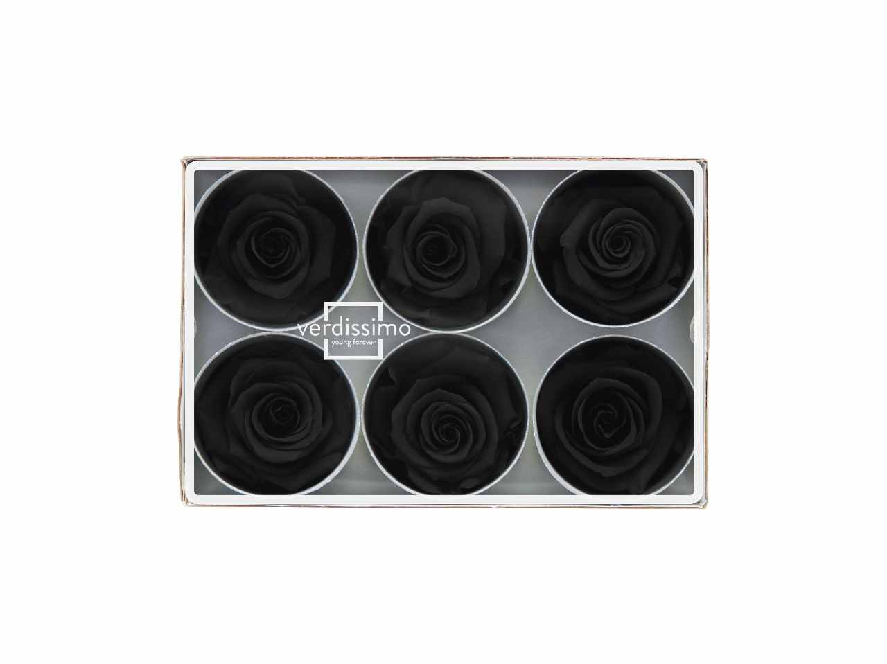 ROSA STABILIZZATA NERA 6pz RST/2990