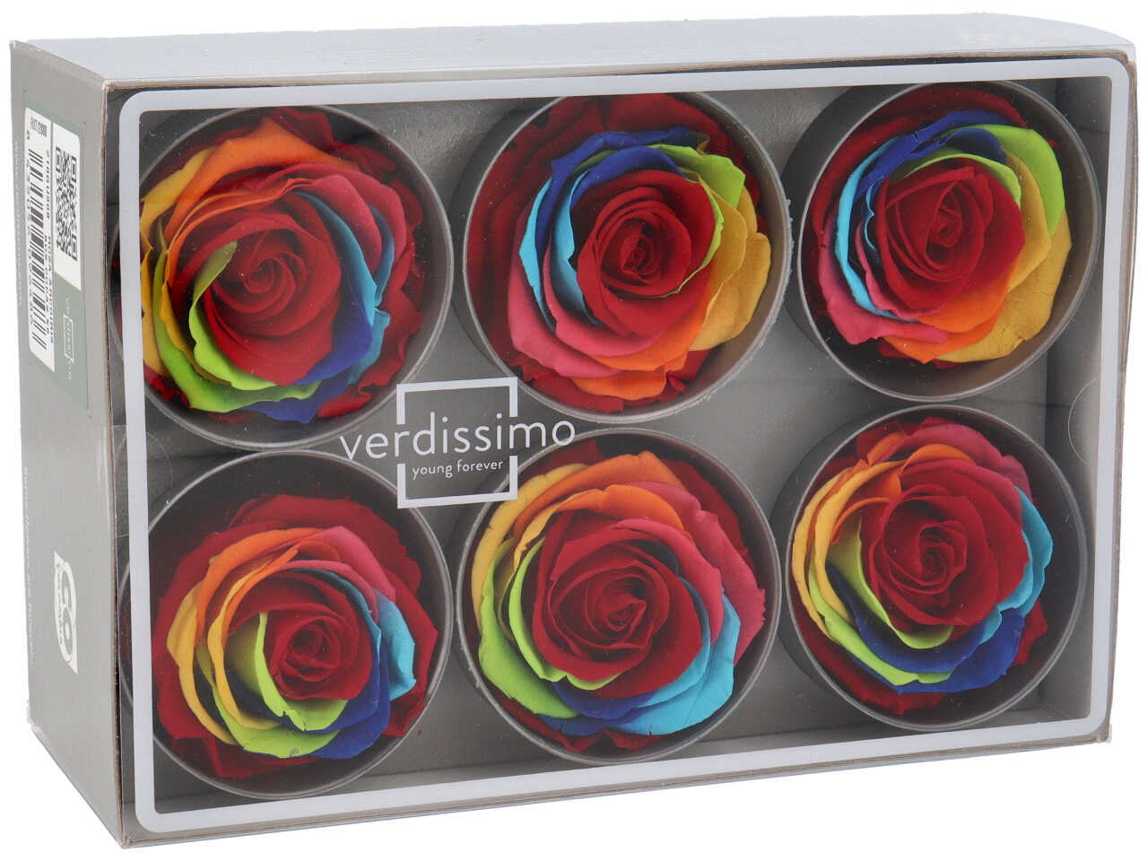 ROSA STABILIZZATA RAINBOW 6pz RST/2888