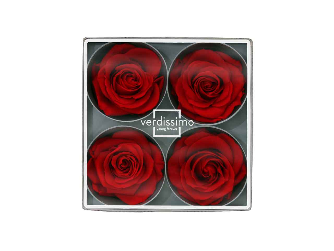 ROSA STABILIZZATA ROSSA 4pz RSG/2200