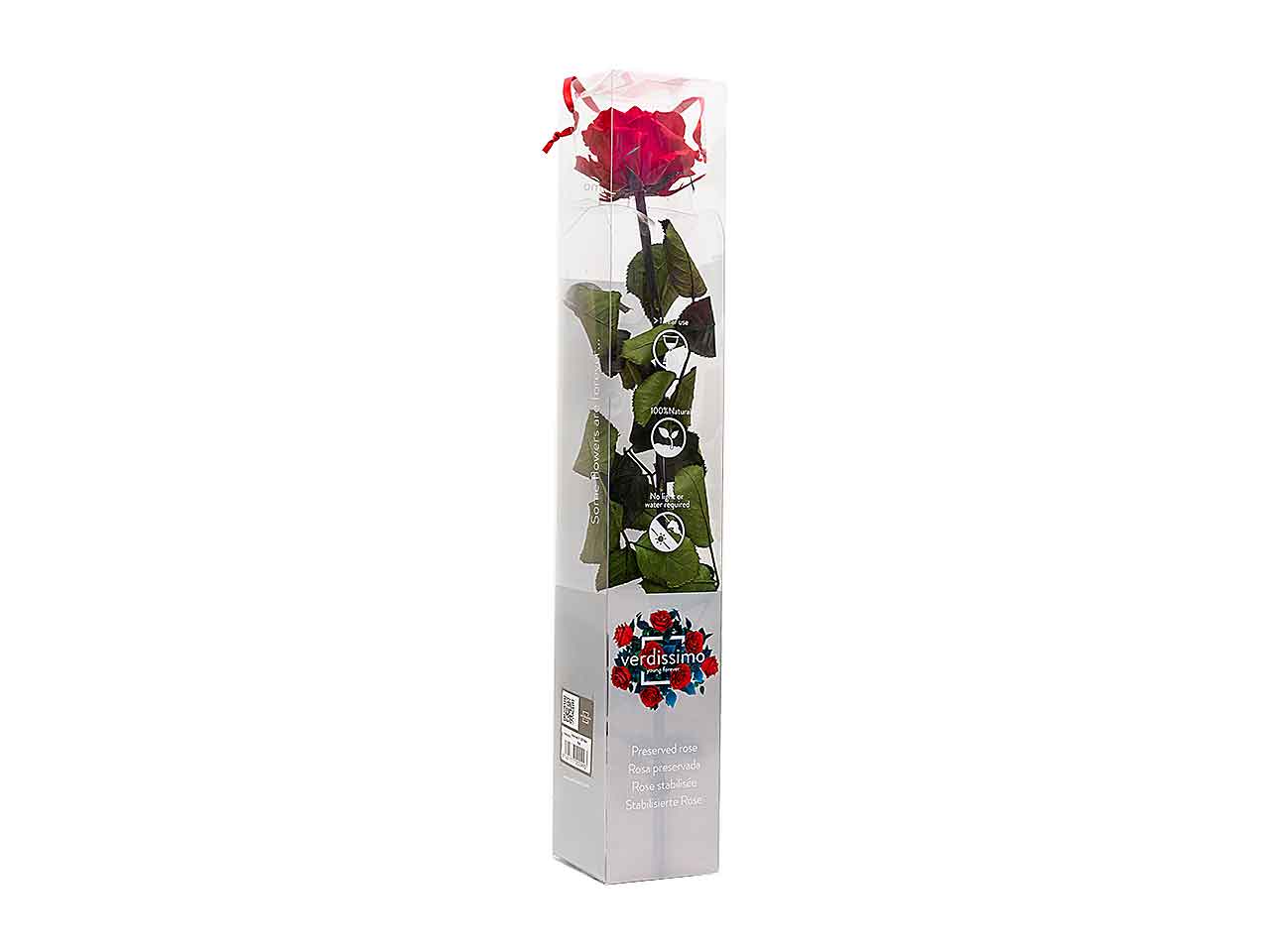 ROSA STABILIZZATA ROSSA  PRZ/1200