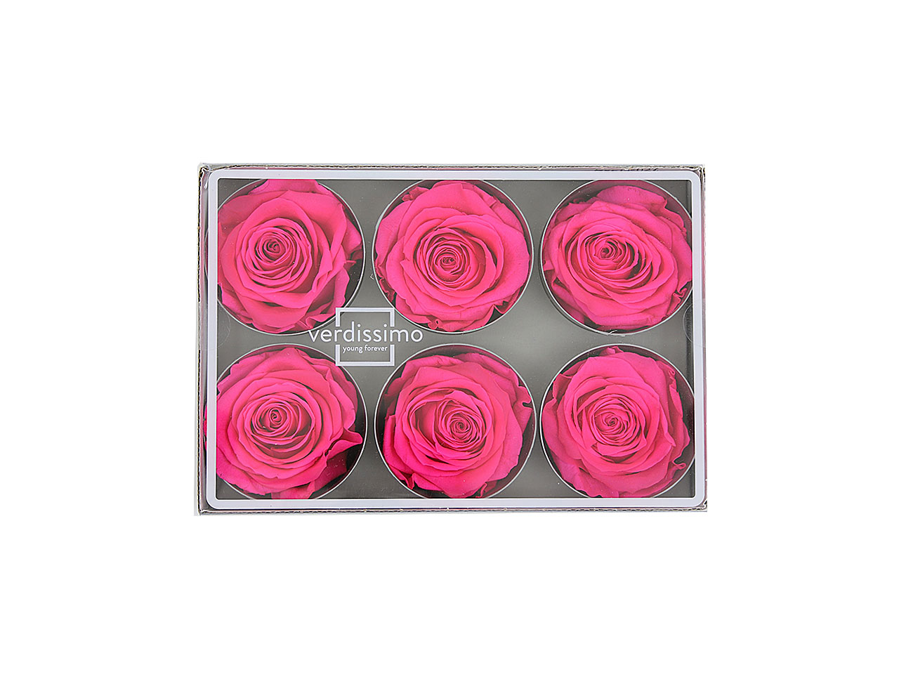ROSA STABILIZZATA ROSA 6pz RST/2430