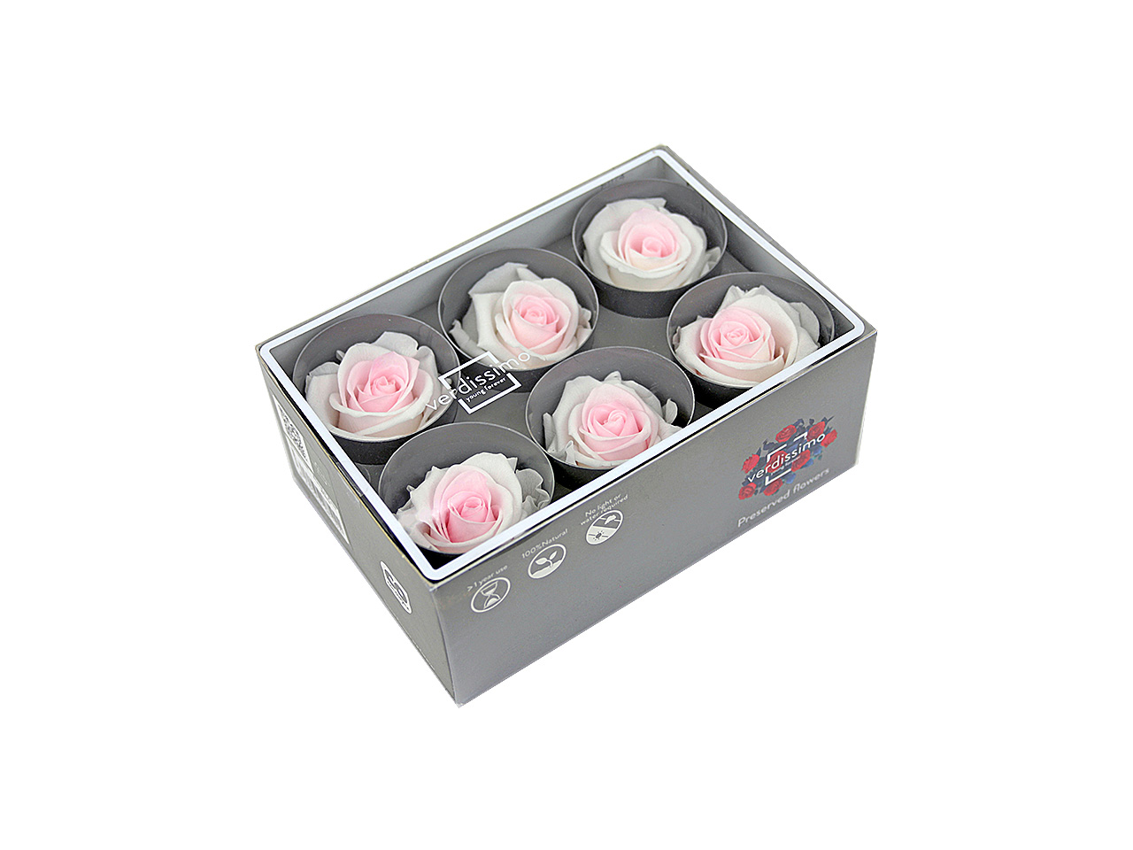 ROSA STABILIZZATA B.COLOR 6pz RSTB/2040