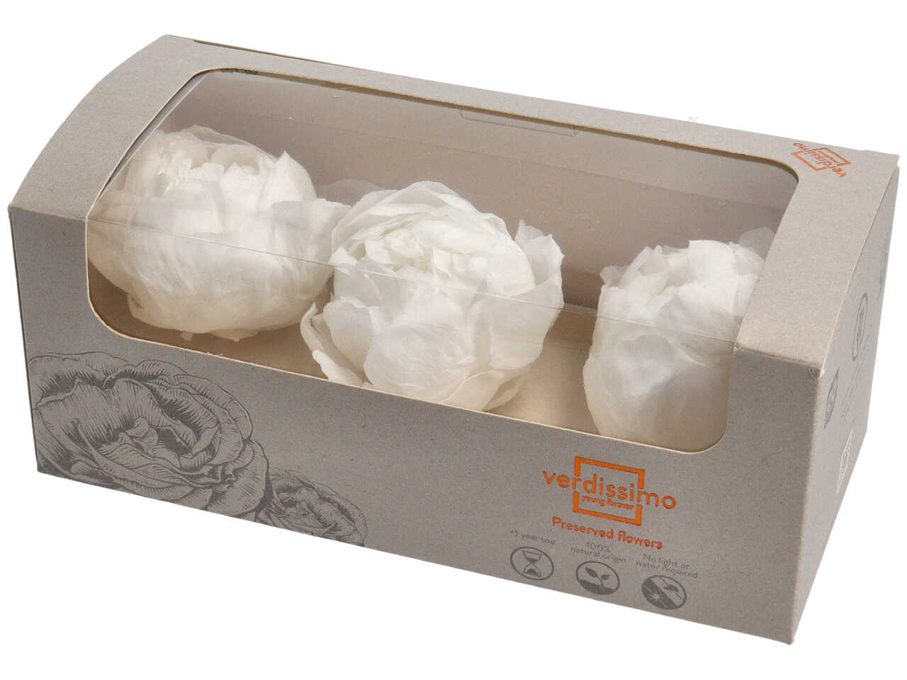 PEONIE STABILIZZATE BIANCHE3PZ PEO/2000