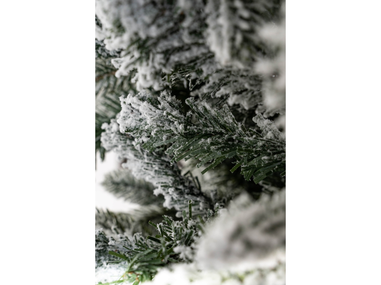 ALBERO VALTELLINA INNEVATO 240CM D.80CM NAT02131