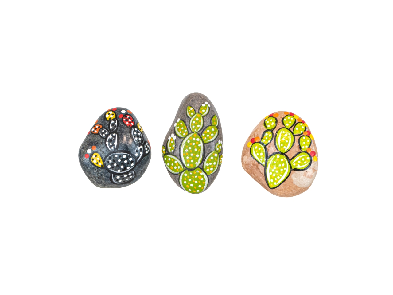 MAGNETE SASSO FICO D’INDIA 7280206 MAGNETE SASSO FICO D’INDIA 7280206