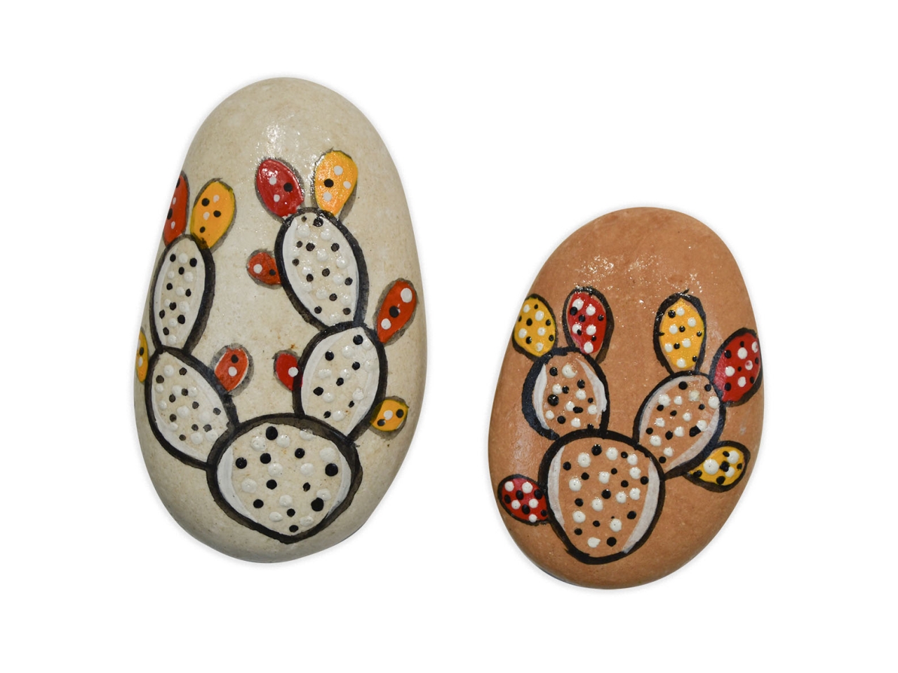 MAGNETE SASSO FICO D’INDIA 7280207 MAGNETE SASSO FICO D’INDIA 7280207