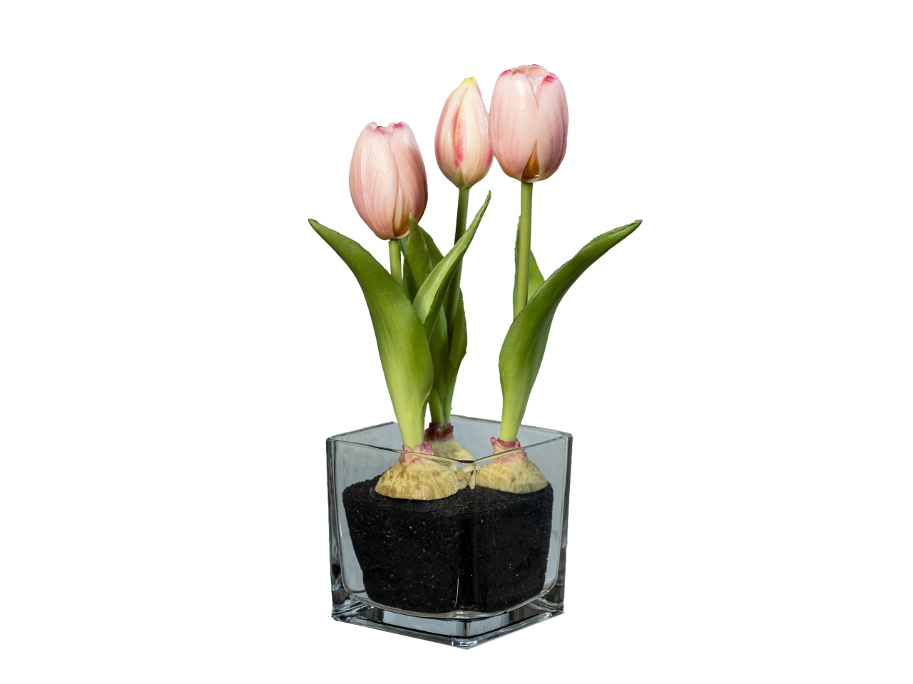 MAZZO TULIP.VASO VET.ROSA 23CM 18120013 MAZZO TULIP.VASO VET.ROSA 23CM 18120013