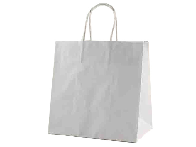 BUSTA SURF LARGE BIANCA 25x15x24 3041A BUSTA SURF LARGE BIANCA 25x15x24 3041A