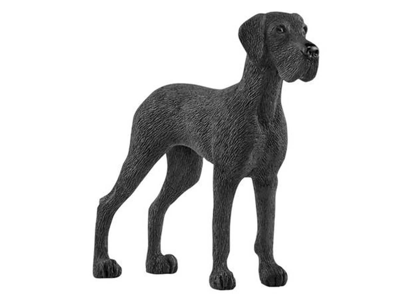 ALANO DANESE 13962 ALANO DANESE 13962