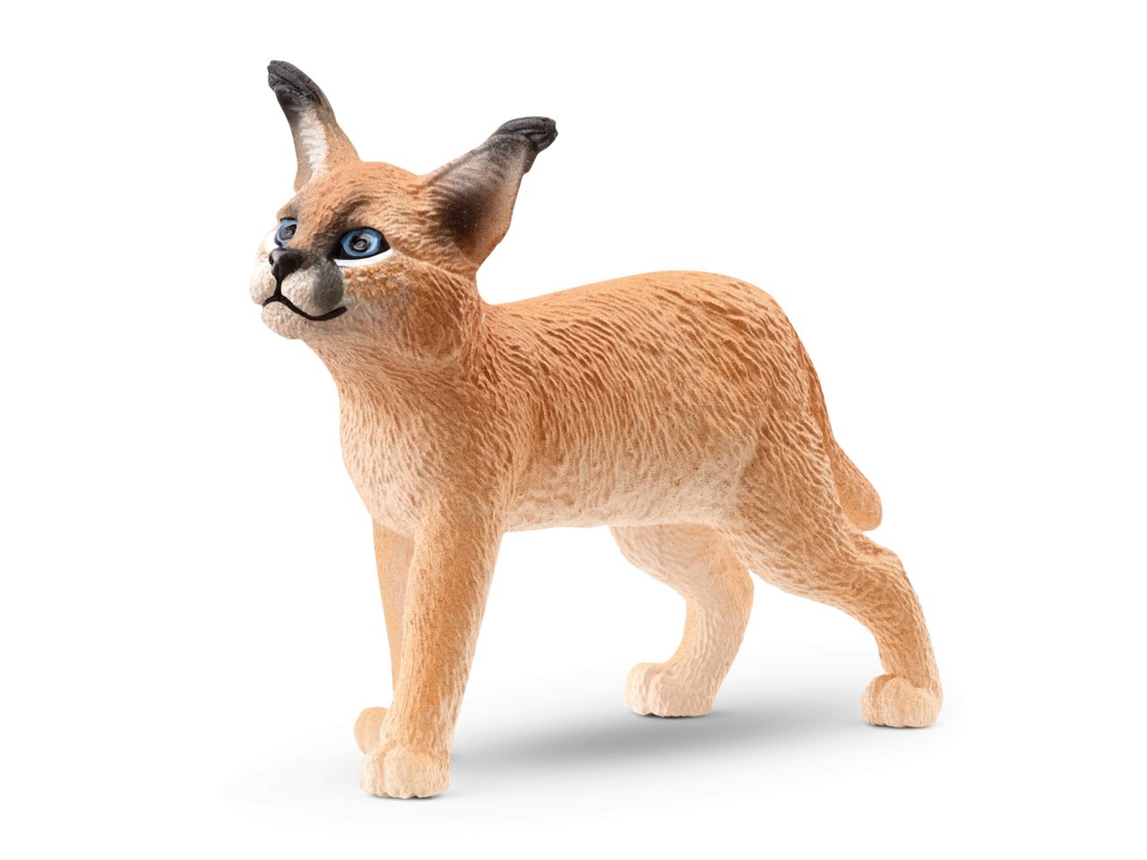 CUCCIOLO DI CARACAL 14868