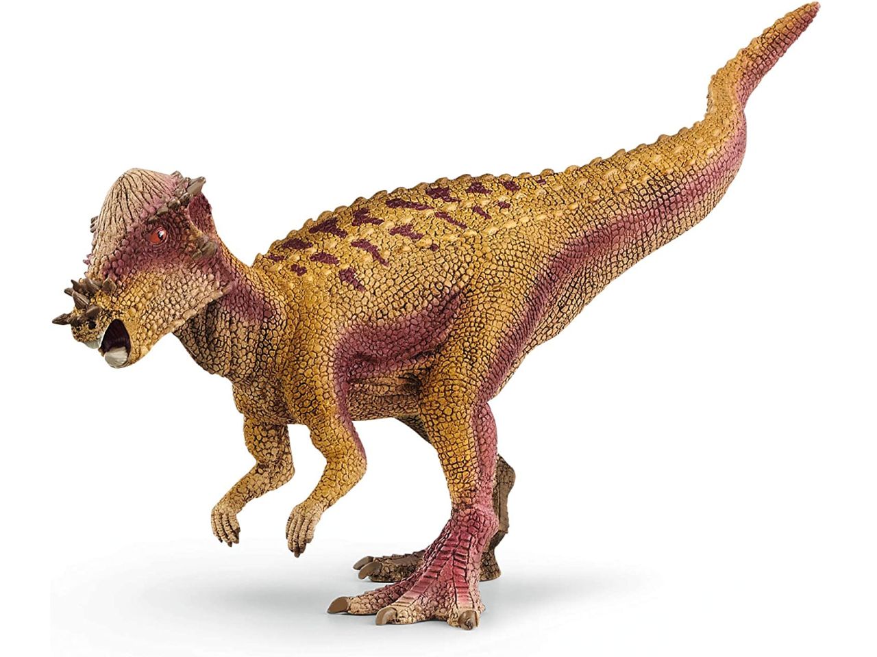 PACHYCEPHALOSAURUS 15024