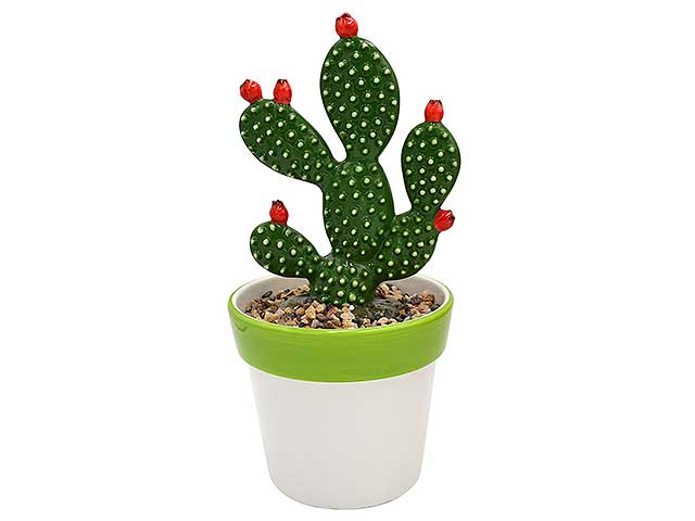 PIANTA FICO D’INDIA H27cm CTA-04