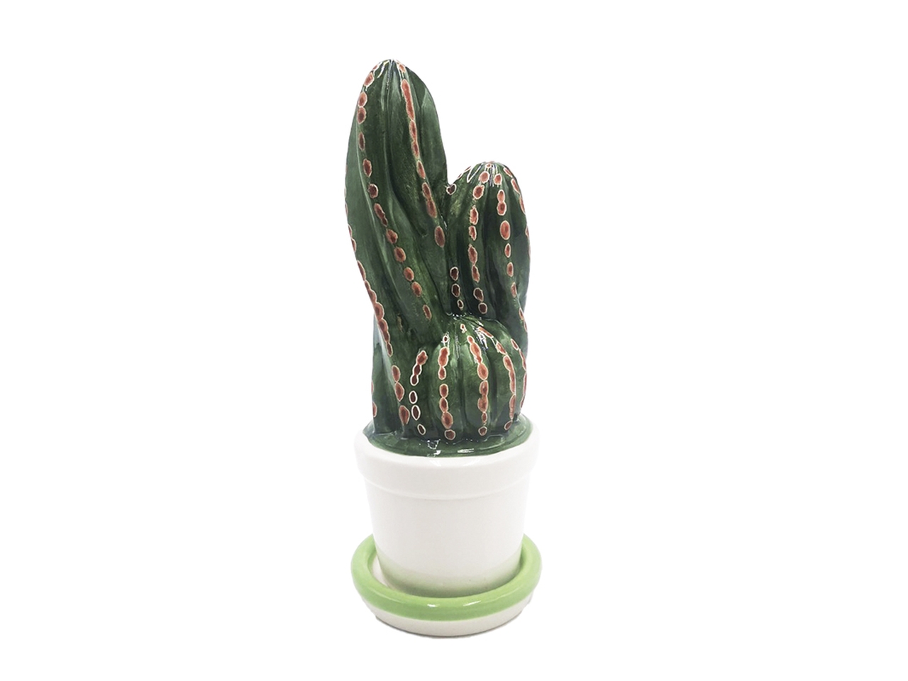 PIANTA CACTUS PICCOLA H17,5X7 CTA-11