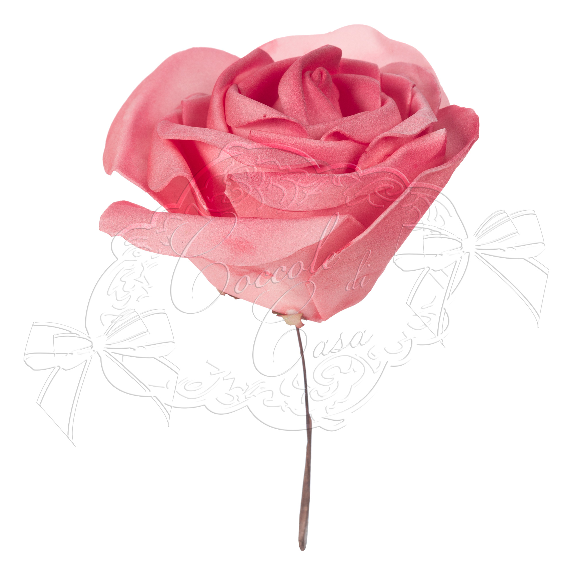 ROSE COLOR CORALLO D.12XH.16CM DD20897C