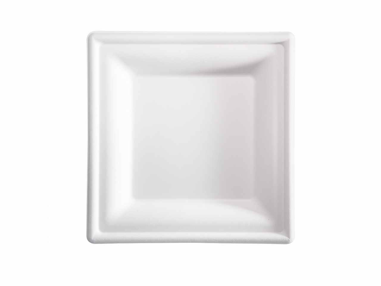 PIATTO QUADR.IN BAGASSA 15pz 20x20cm BPS002BIO15B