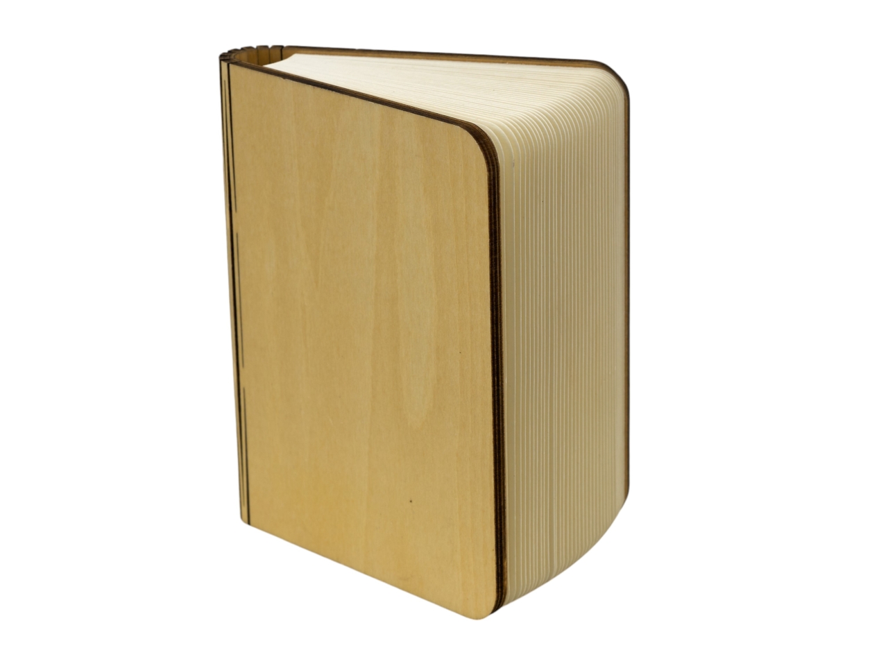 LAMPADA LIBRO LED 21,5X17X2,5 1409029