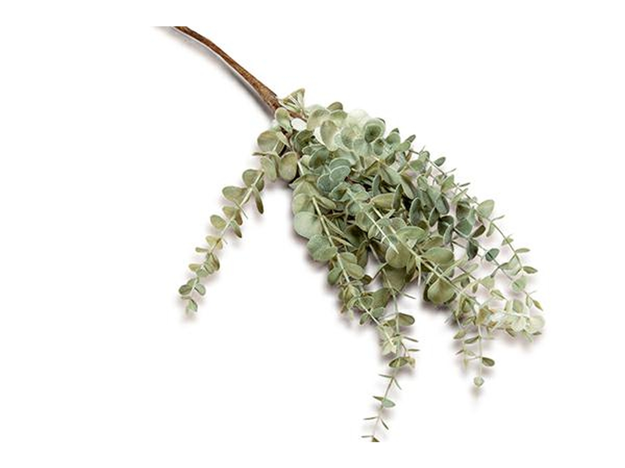 RAMO EUCALIPTO H.68CM VERDE FB2394 20