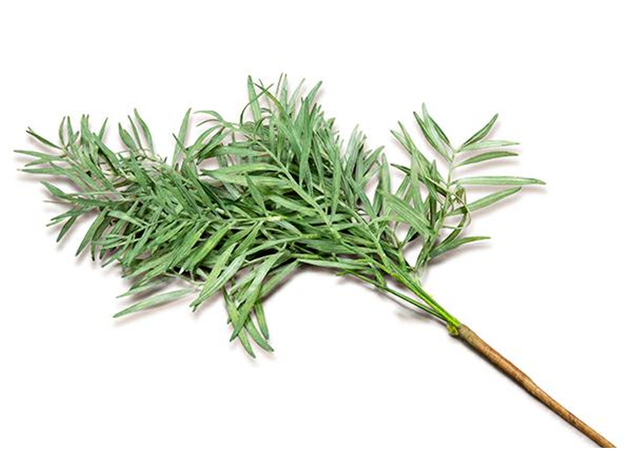 RAMO CON FOGLIE H.80CM VERDE FB2393 20
