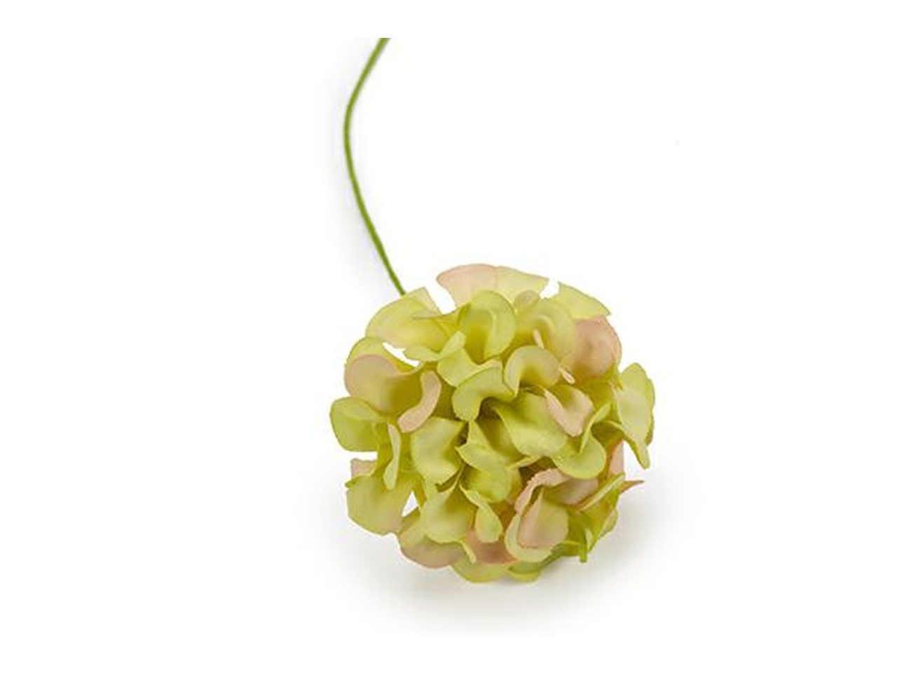 ORTENSIA RAMO 4CM VERDE 36PZ.FB2348 30