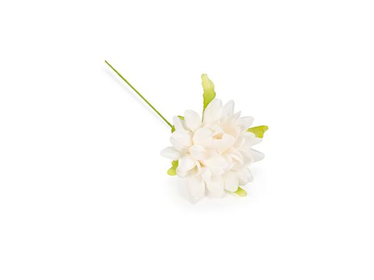 NINFEA 4CM DI COLORE PANNA 36PZ FB2378 02 NINFEA 4CM DI COLORE PANNA 36PZ FB2378 02