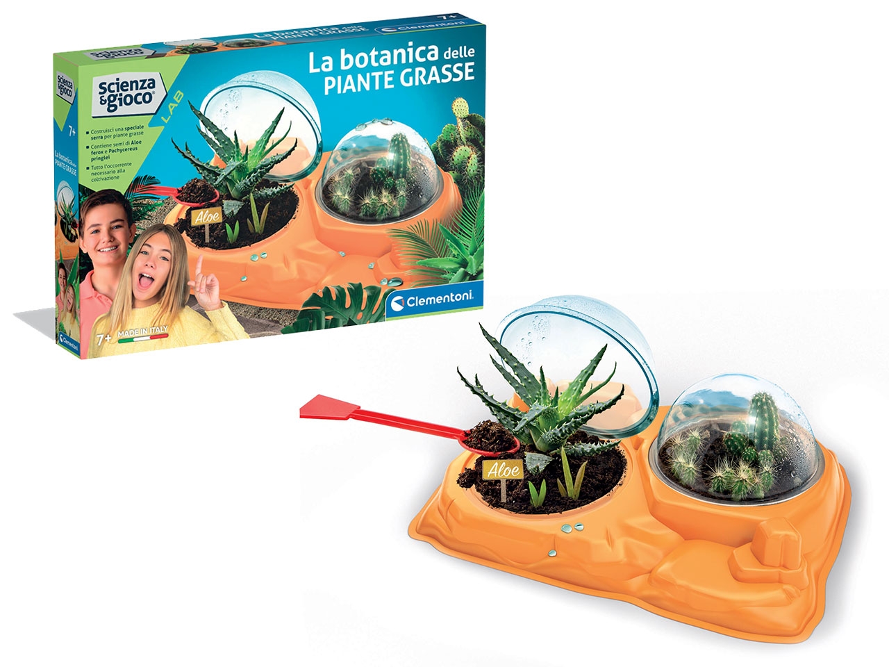 LA BOTANICA DELLE PIANTE GRASSE 19422.3 LA BOTANICA DELLE PIANTE GRASSE 19422.3