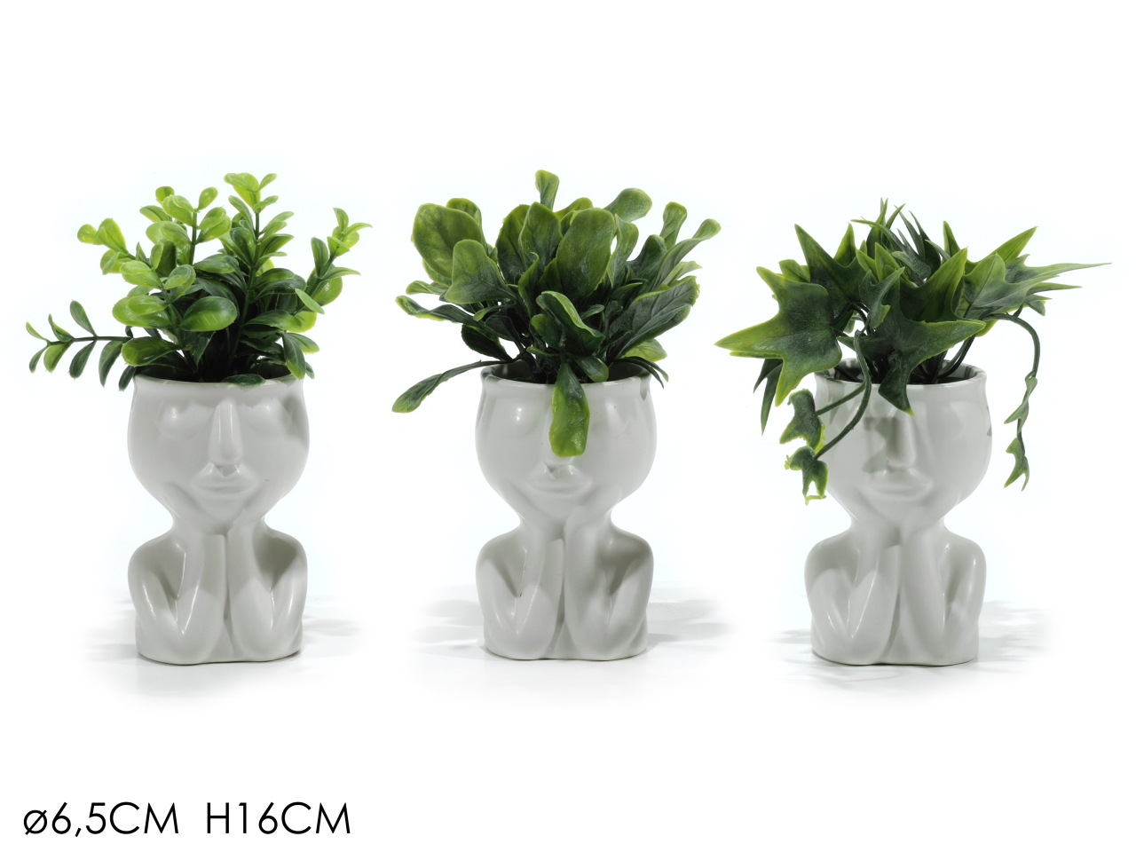 VASO C/PIANTA 6,5X17 BIANCO ASS 641231 VASO C/PIANTA 6,5X17 BIANCO ASS 641231