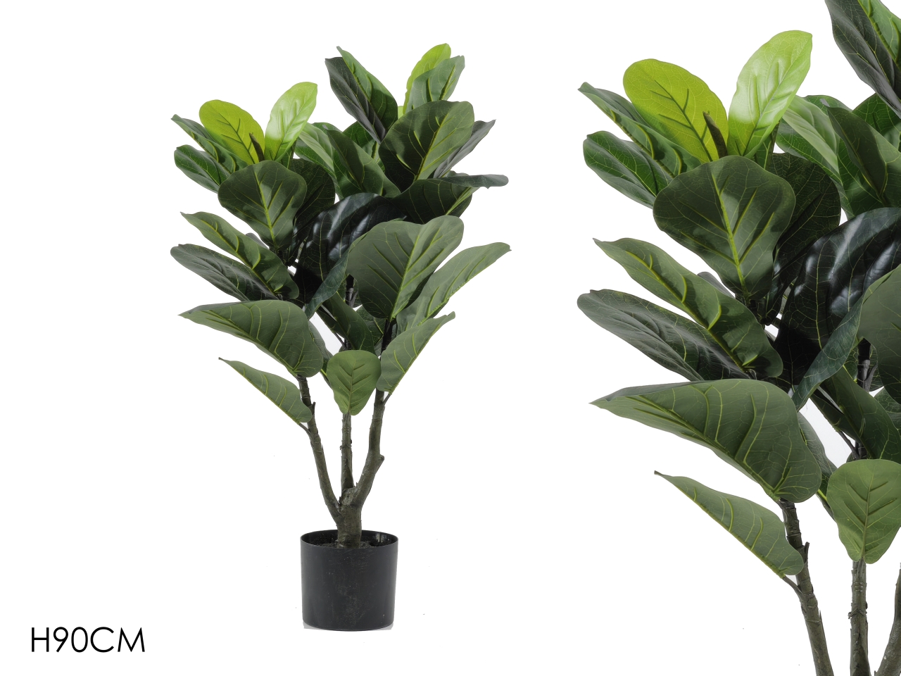 PIANTA FICUS H.90CM 671105