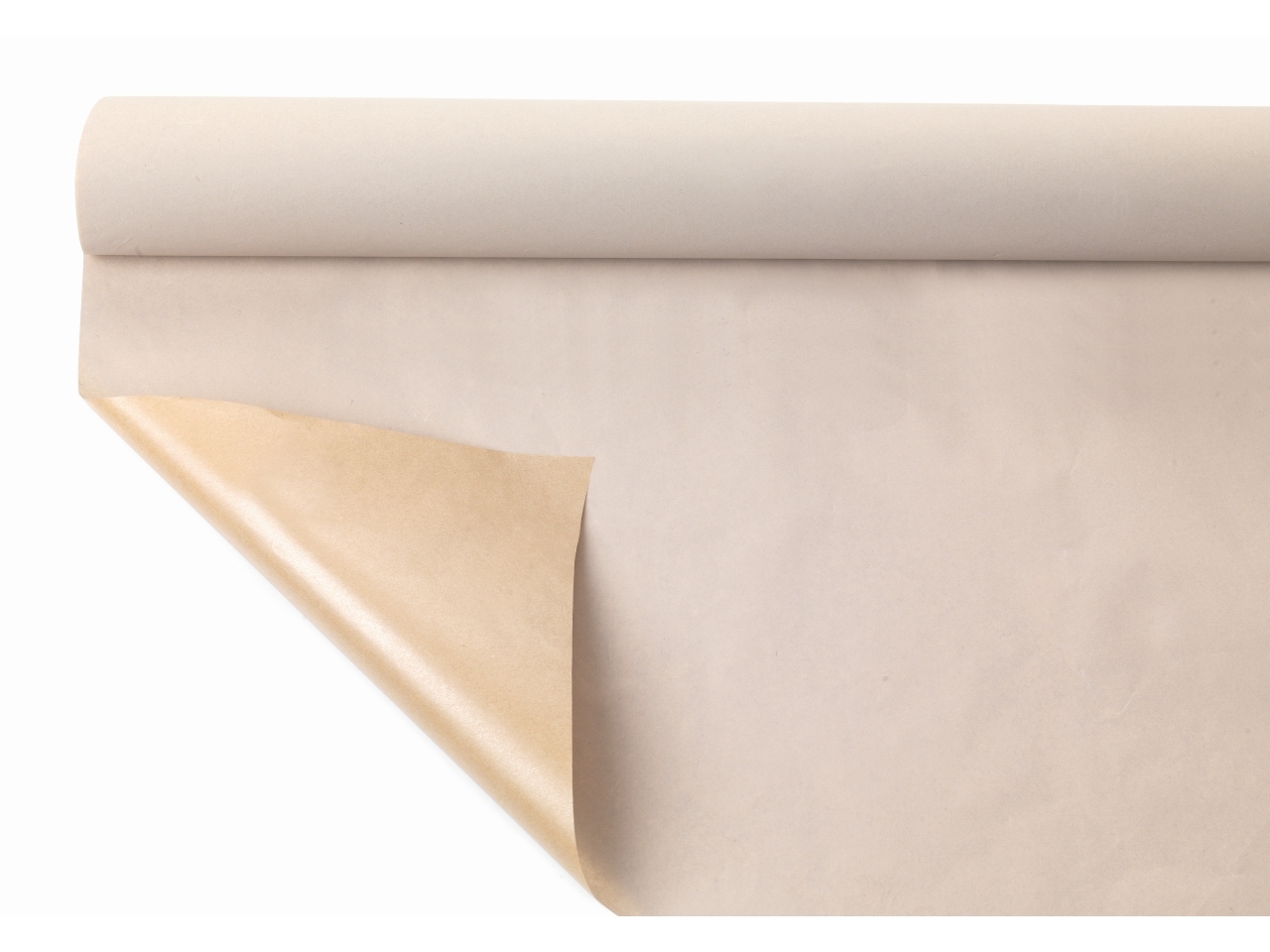 BOBINA CARTA F/P1x25mt BIANCO B-T63SR-LL2BI