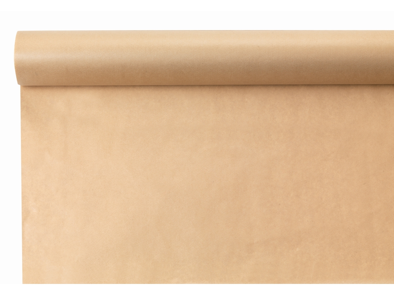 BOBINA CARTA FSC 1X25MTNEUTRA B-T66SN-LL2NN