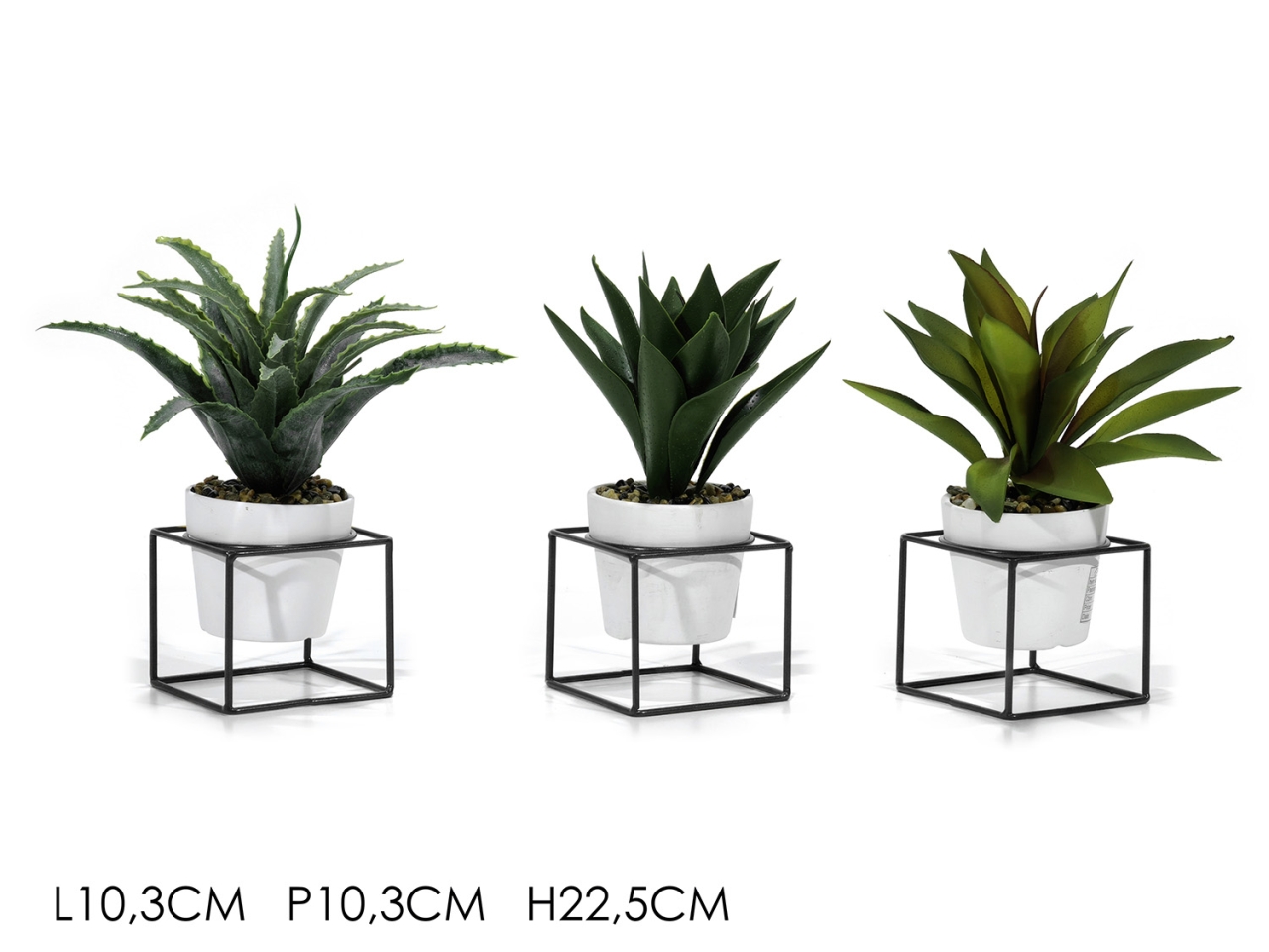 VASO C/PIANTA BASE NERA 9,5X22,5 747190 VASO C/PIANTA BASE NERA 9,5X22,5 747190