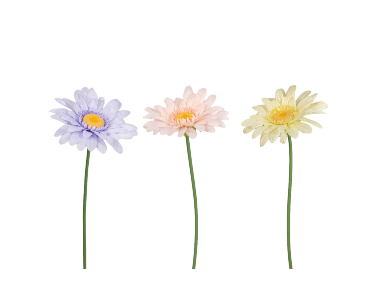 STELO GERBERA D50XH125CM ASS. FW0135