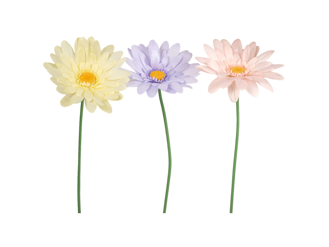 STELO GERBERA D65XH150CM ASS. FW0136
