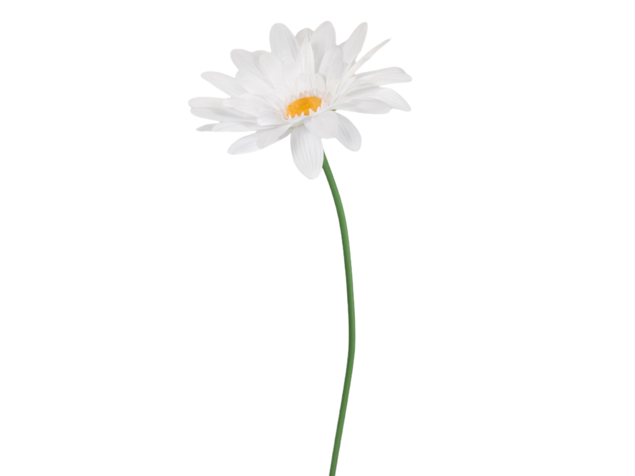 STELO GERBERA D65XH150CM BIANCO FW0136W