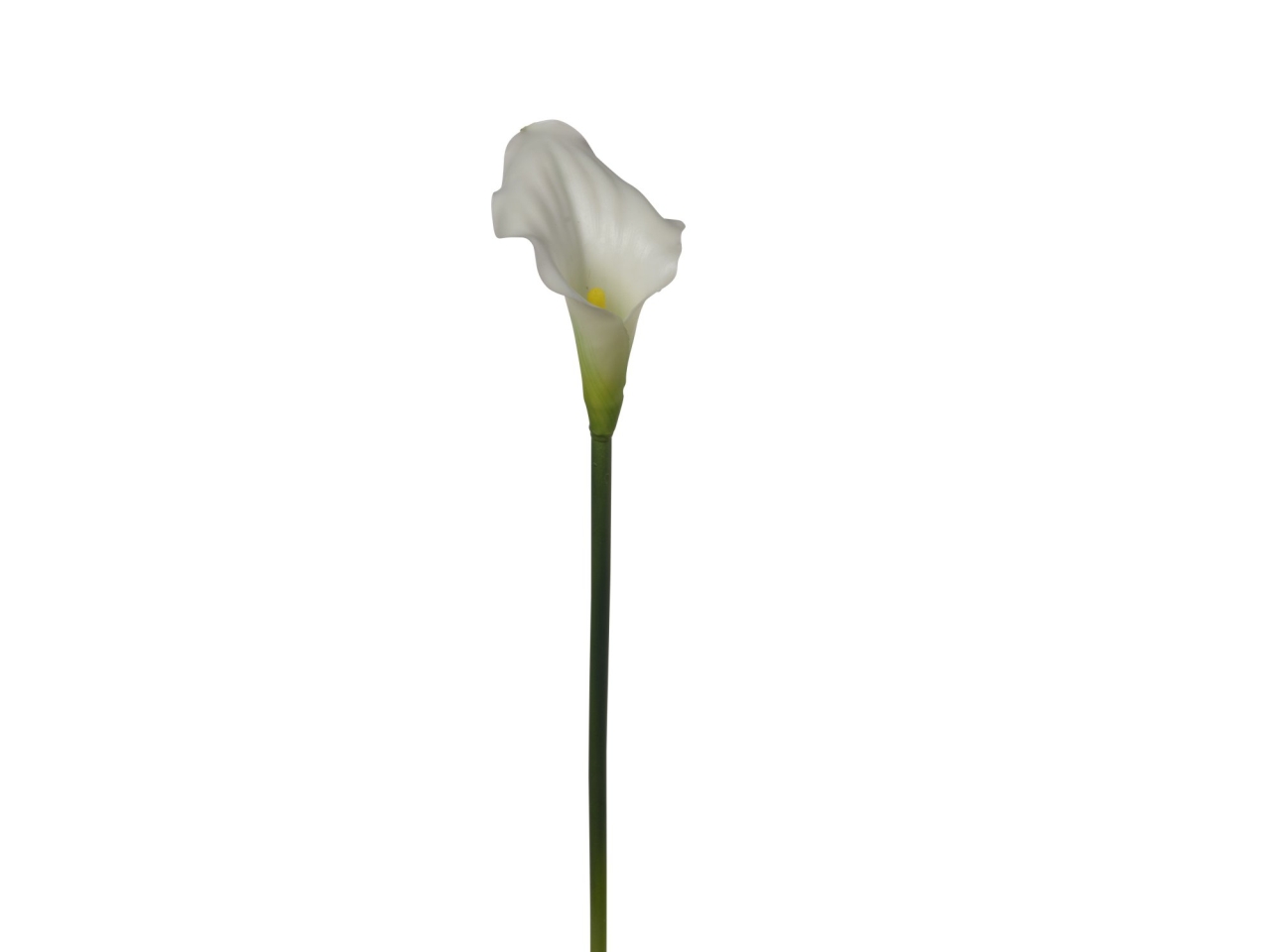 RAMO CALLA 58CM 2FAN51-037