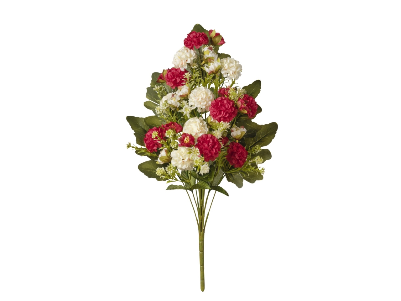 MAZZO FRONT.ZINNIE 50 ASS. 2FHZ4024 534