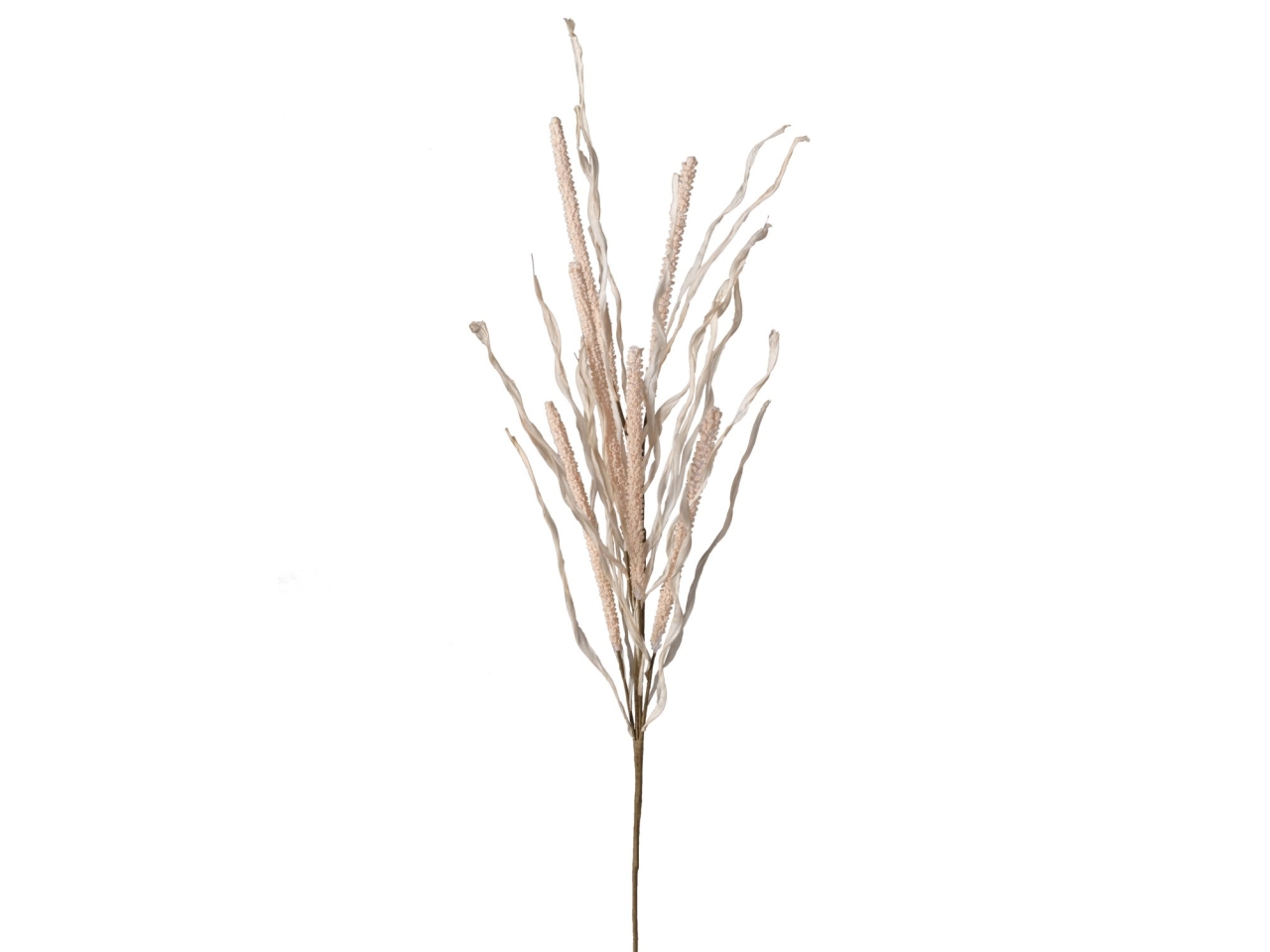 RAMO VERONICA 98CM BEIGE 2PHZ4389 006 RAMO VERONICA 98CM BEIGE 2PHZ4389 006
