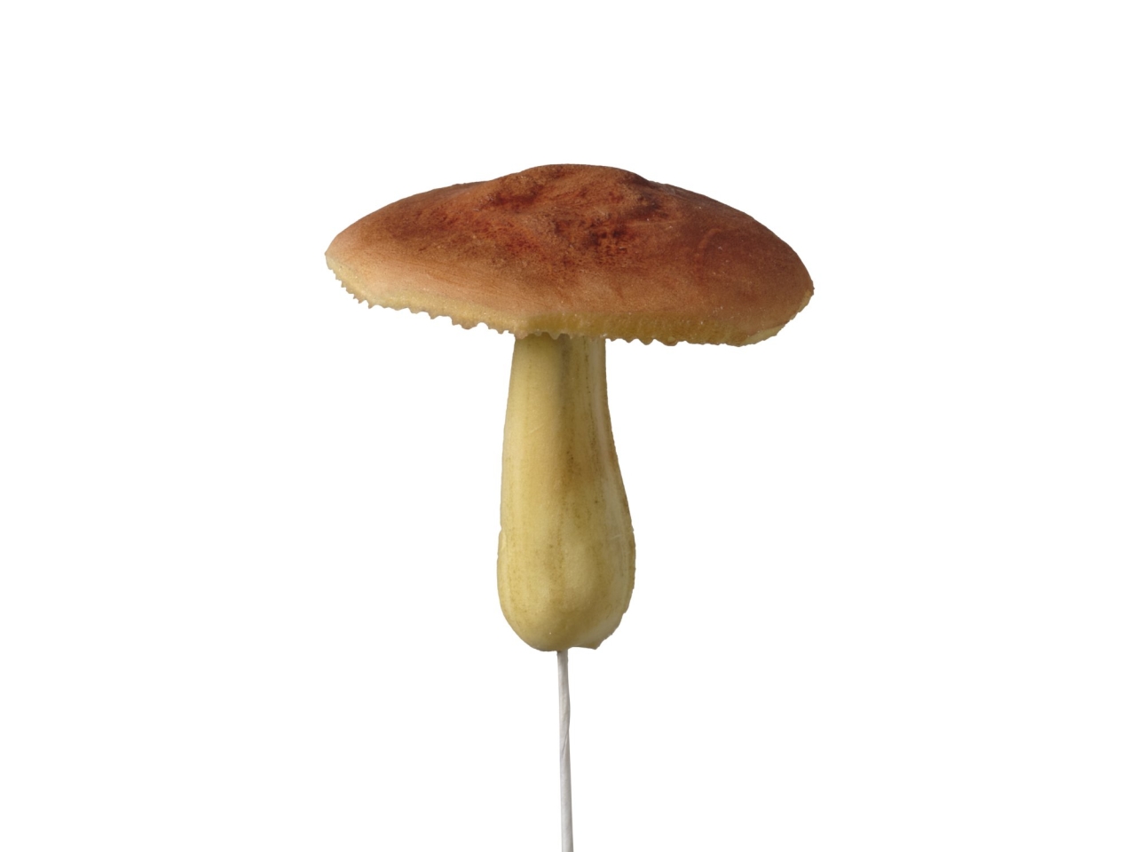 PICK FUNGO 6 CM 1MRM10