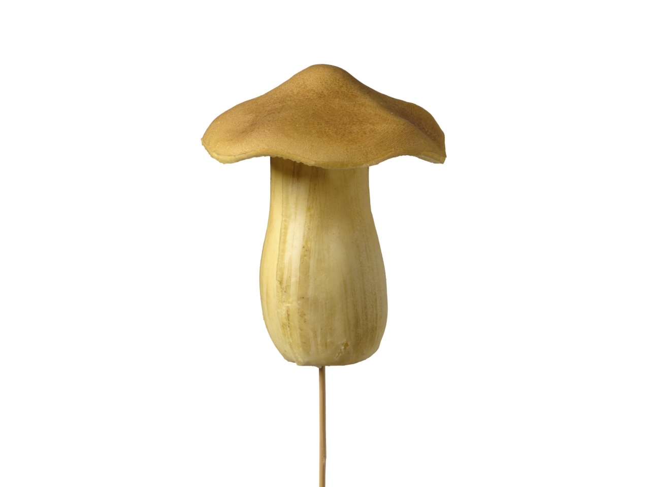 PICK FUNGO 11 CM 1MRM9