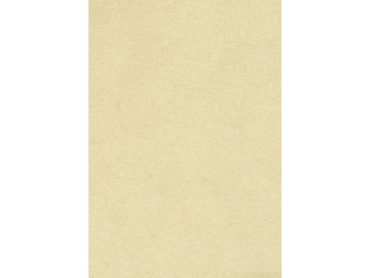 PERGAMENA AVORIO 10 PZ. A4 LC30026DP/10