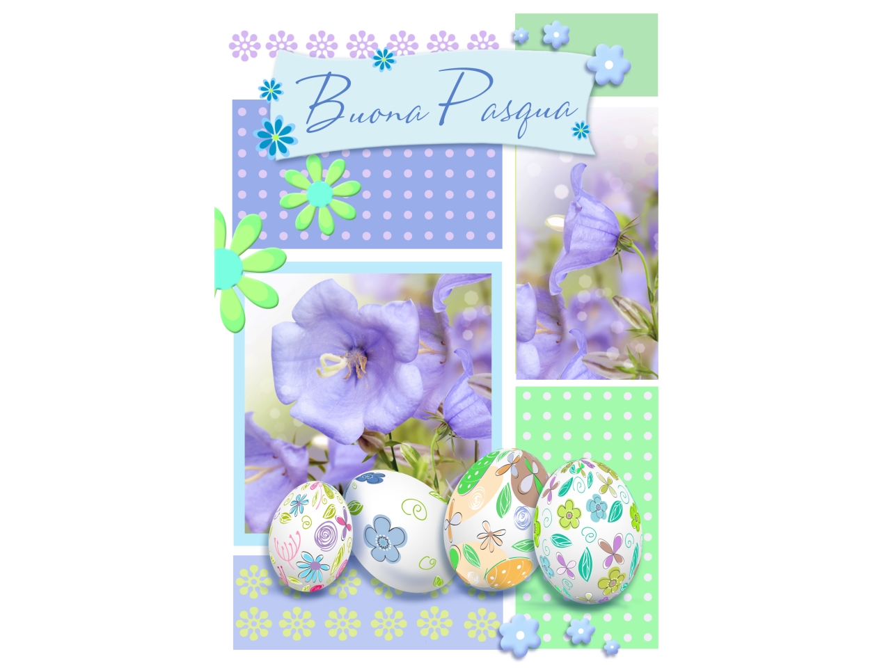 BIGLIETTO PASQUA LAICA PV20023BP/B BIGLIETTO PASQUA LAICA PV20023BP/B