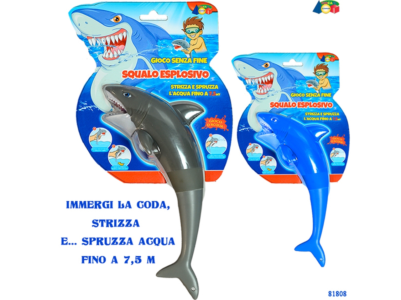 SET SQUALO SPARACQUA ASS. 81808