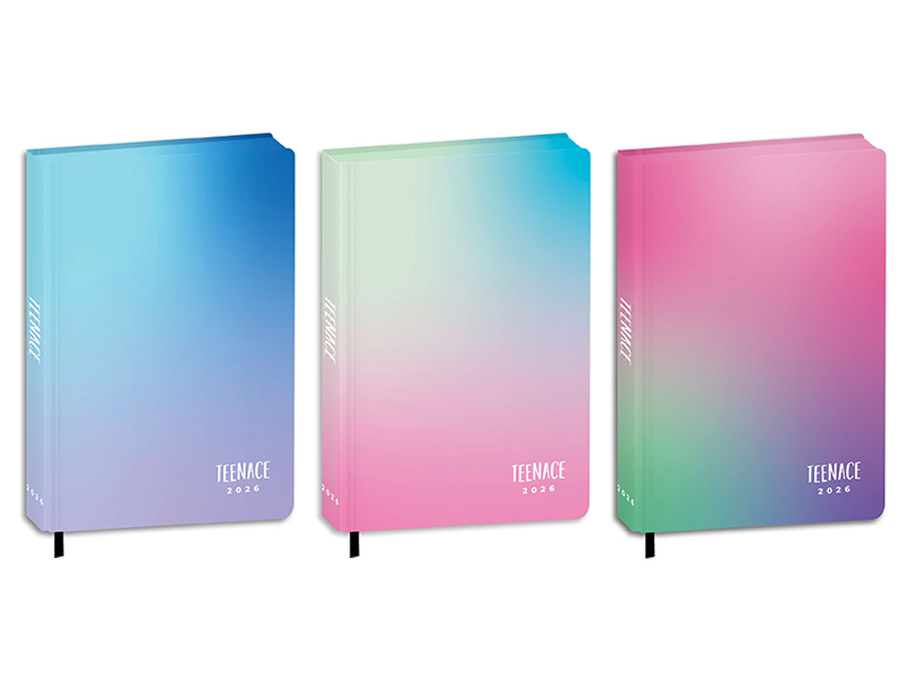 TEENACE DIARIO STD. SPECIAL25/26 50E102503-000 TEENACE DIARIO STD. SPECIAL25/26 50E102503-000