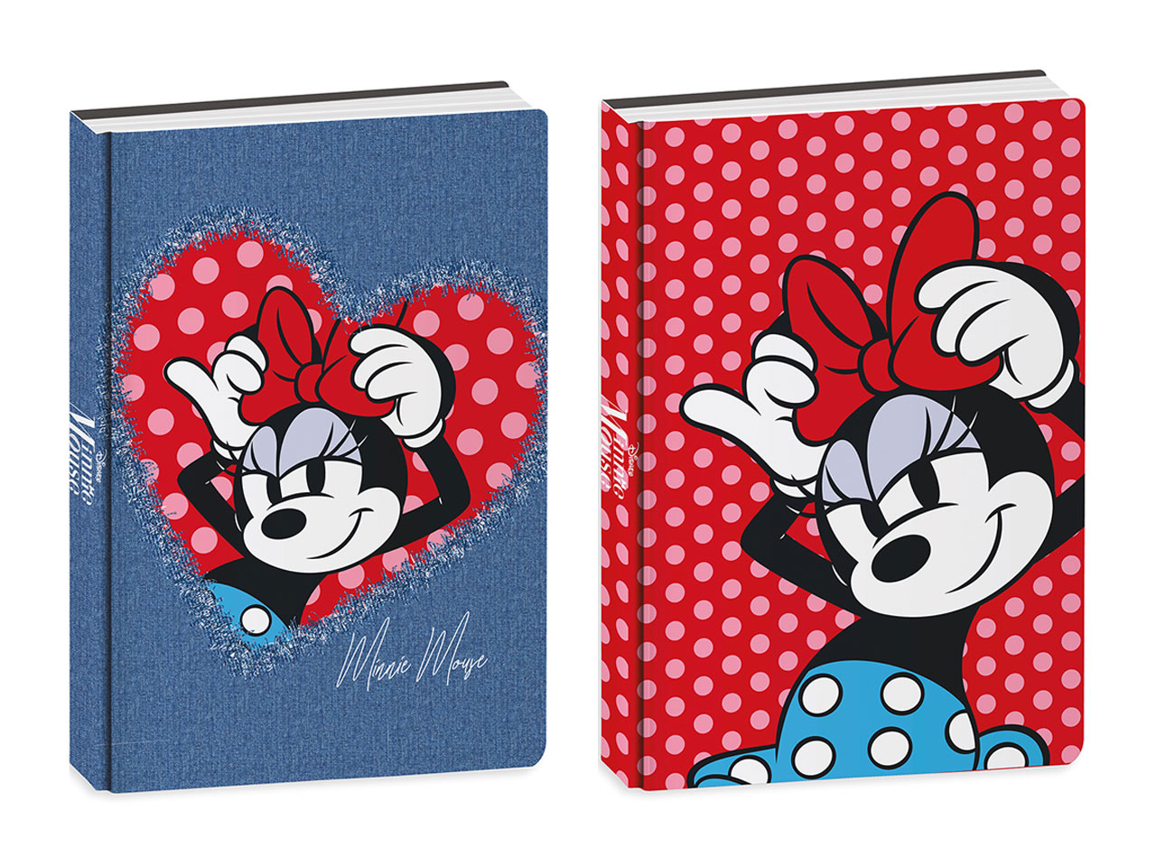 MINNI DIARIO AG.10M 50C502500-000 MINNI DIARIO AG.10M 50C502500-000