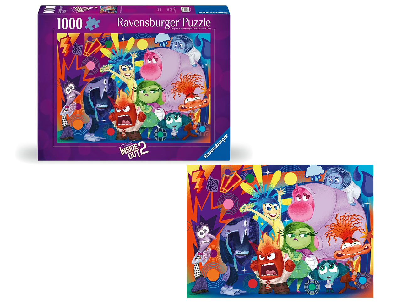 PUZZLE 1000PZ INSIDE OUT 2 12001537 6
