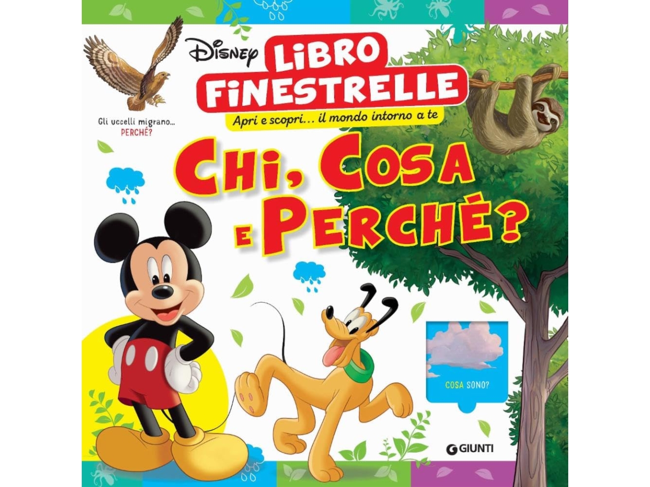 LIBRO CHI, COSA E PERCHE’? W0541A